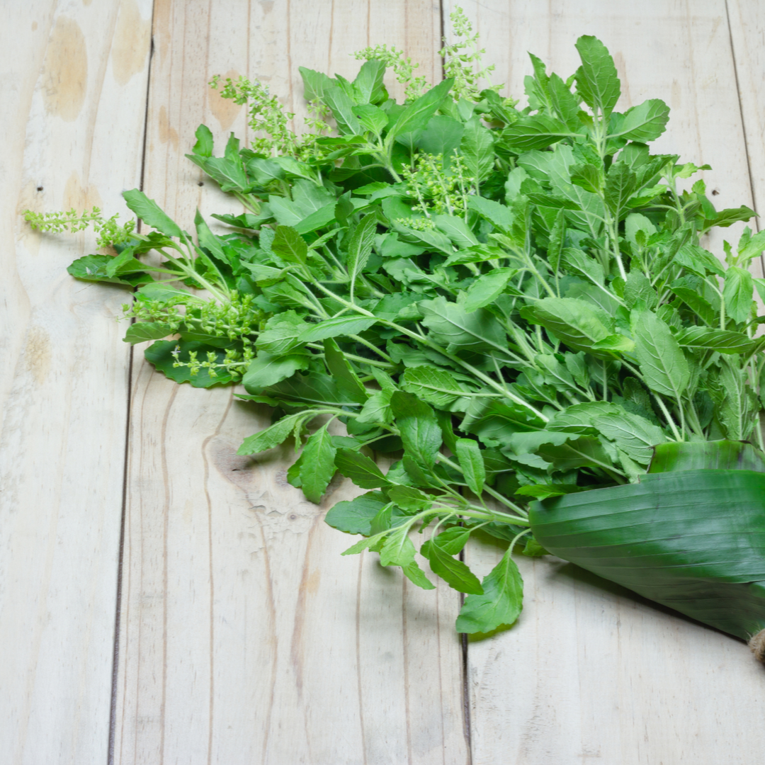 All About Tulsi – My Herbal Box
