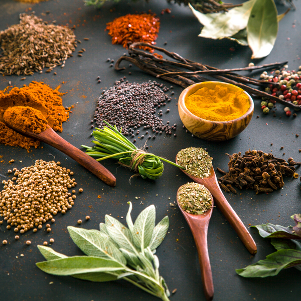 Basic Concepts in Herbal Medicine: Herbal Energetics