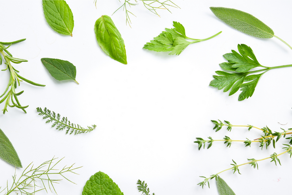 Nervines: Complimentary Herbs for Adaptogens