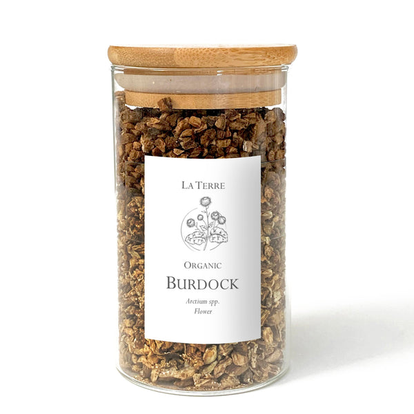 Burdock Root (Organic)